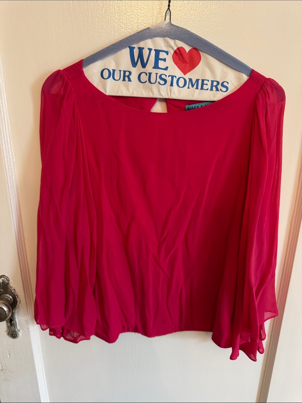 Alice and Olivia Blouse with Sheer Sleeves XS